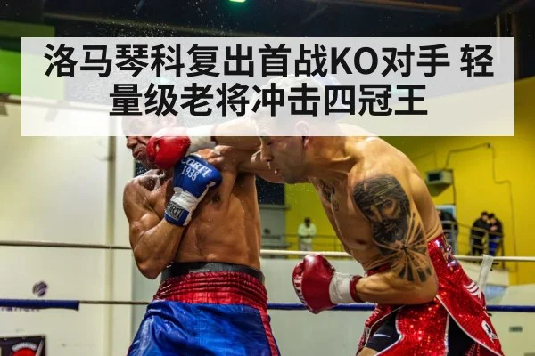 洛马琴科复出首战KO对手 轻量级老将冲击四冠王